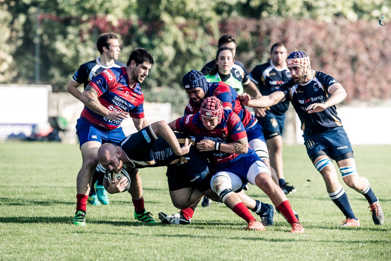 Rugby photo 6